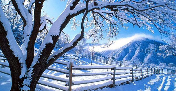 This is default featured post 4 title